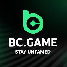 Everything You Need to Know About BC.Game Online Betting Platform
